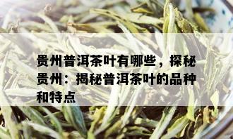 贵州普洱茶叶有哪些，探秘贵州：揭秘普洱茶叶的品种和特点