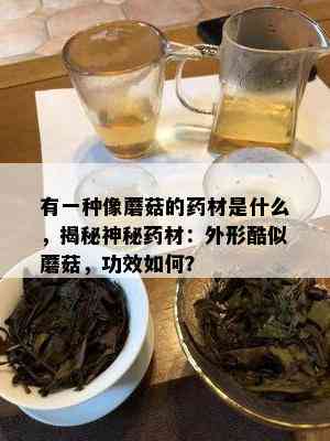 有一种像蘑菇的药材是什么，揭秘神秘药材：外形酷似蘑菇，功效如何？