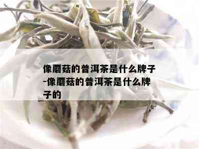 像蘑菇的普洱茶是什么牌子-像蘑菇的普洱茶是什么牌子的