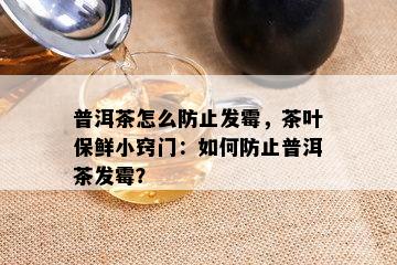 普洱茶怎么防止发霉，茶叶保鲜小窍门：如何防止普洱茶发霉？