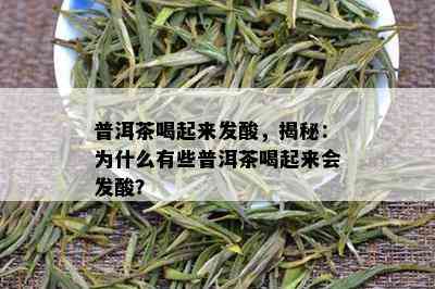 普洱茶喝起来发酸，揭秘：为什么有些普洱茶喝起来会发酸？