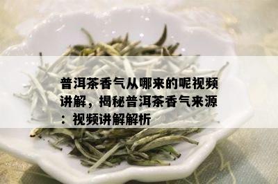 普洱茶香气从哪来的呢视频讲解，揭秘普洱茶香气来源：视频讲解解析