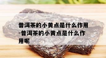 普洱茶的小黄点是什么作用-普洱茶的小黄点是什么作用呢