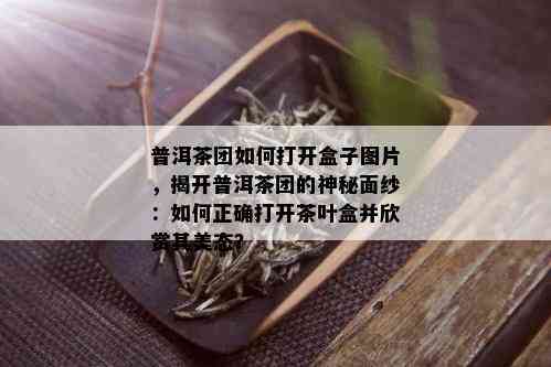 普洱茶团如何打开盒子图片，揭开普洱茶团的神秘面纱：如何正确打开茶叶盒并欣赏其美态？