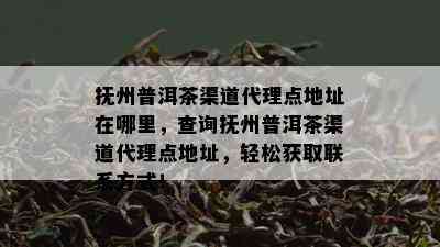 抚州普洱茶渠道代理点地址在哪里，查询抚州普洱茶渠道代理点地址，轻松获取联系方式！