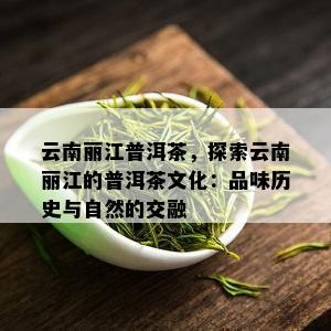 云南丽江普洱茶，探索云南丽江的普洱茶文化：品味历史与自然的交融