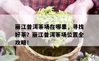 丽江普洱茶场在哪里，寻找好茶？丽江普洱茶场位置全攻略！