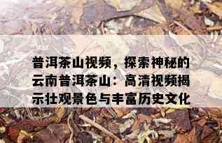 普洱茶山视频，探索神秘的云南普洱茶山：高清视频揭示壮观景色与丰富历史文化