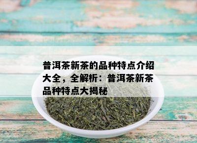 普洱茶新茶的品种特点介绍大全，全解析：普洱茶新茶品种特点大揭秘
