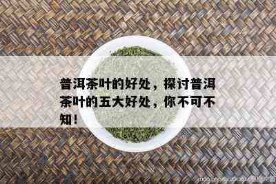 普洱茶叶的好处，探讨普洱茶叶的五大好处，你不可不知！