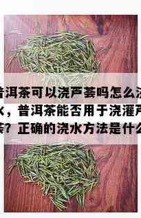 普洱茶可以浇芦荟吗怎么浇水，普洱茶能否用于浇灌芦荟？正确的浇水方法是什么？