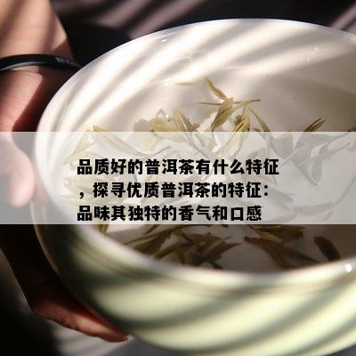 品质好的普洱茶有什么特征，探寻优质普洱茶的特征：品味其独特的香气和口感