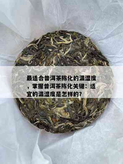 最适合普洱茶陈化的温湿度，掌握普洱茶陈化关键：适宜的温湿度是怎样的？