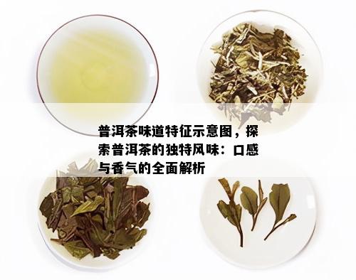 普洱茶味道特征示意图，探索普洱茶的独特风味：口感与香气的全面解析