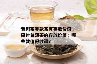 普洱茶哪款茶有存放价值，探讨普洱茶的存放价值：哪些款值得收藏？