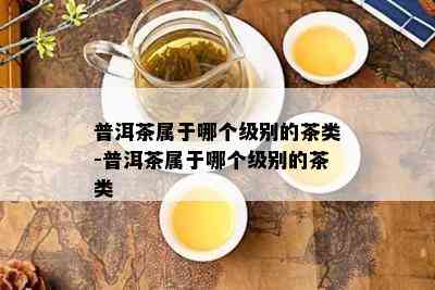 普洱茶属于哪个级别的茶类-普洱茶属于哪个级别的茶类