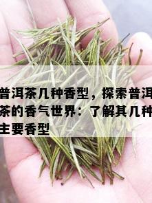 普洱茶几种香型，探索普洱茶的香气世界：了解其几种主要香型