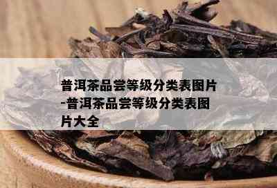 普洱茶品尝等级分类表图片-普洱茶品尝等级分类表图片大全