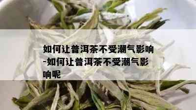 如何让普洱茶不受潮气影响-如何让普洱茶不受潮气影响呢