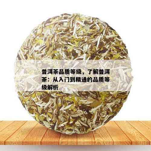 普洱茶品质等级，了解普洱茶：从入门到精通的品质等级解析