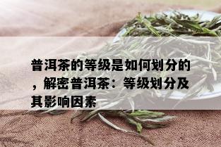 普洱茶的等级是如何划分的，解密普洱茶：等级划分及其影响因素