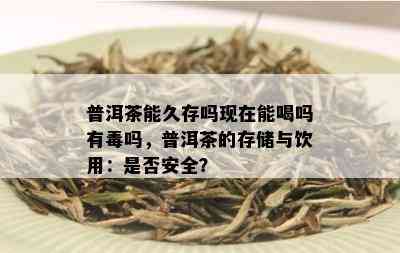 普洱茶能久存吗现在能喝吗有吗，普洱茶的存储与饮用：是否安全？