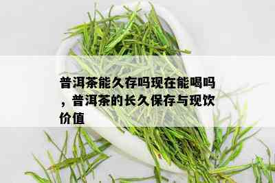 普洱茶能久存吗现在能喝吗，普洱茶的长久保存与现饮价值