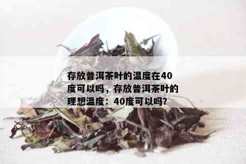 存放普洱茶叶的温度在40度可以吗，存放普洱茶叶的理想温度：40度可以吗？