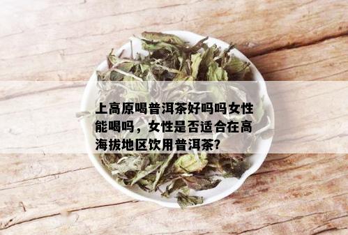 上高原喝普洱茶好吗吗女性能喝吗，女性是否适合在高海拔地区饮用普洱茶？
