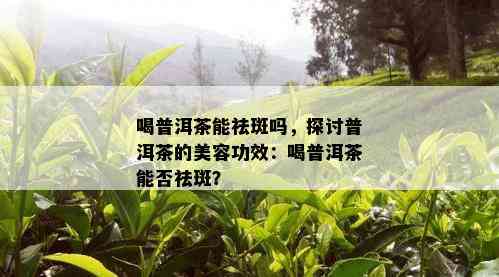 喝普洱茶能祛斑吗，探讨普洱茶的美容功效：喝普洱茶能否祛斑？