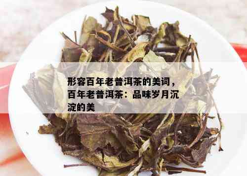 形容百年老普洱茶的美词，百年老普洱茶：品味岁月沉淀的美