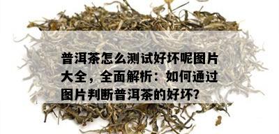 普洱茶怎么测试好坏呢图片大全，全面解析：如何通过图片判断普洱茶的好坏？