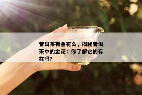 普洱茶有金花么，揭秘普洱茶中的金花：你了解它的存在吗？