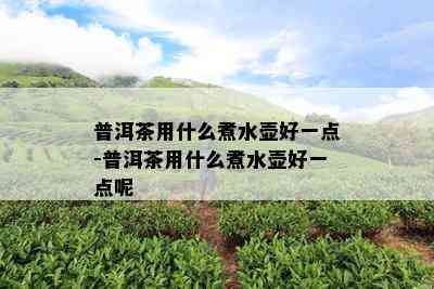 普洱茶用什么煮水壶好一点-普洱茶用什么煮水壶好一点呢