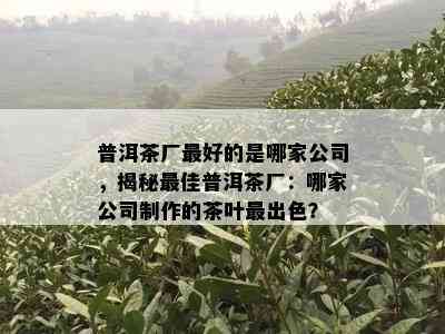 普洱茶厂更好的是哪家公司，揭秘更佳普洱茶厂：哪家公司制作的茶叶最出色？