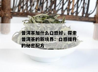 普洱茶加什么口感好，探索普洱茶的新境界：口感提升的秘密配方