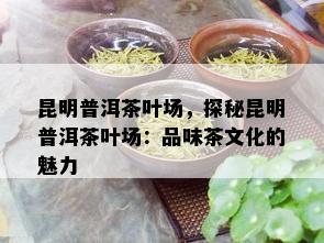 昆明普洱茶叶场，探秘昆明普洱茶叶场：品味茶文化的魅力