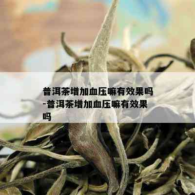 普洱茶增加血压嘛有效果吗-普洱茶增加血压嘛有效果吗