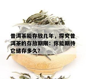 普洱茶能存放几年，探究普洱茶的存放期限：你能期待它储存多久？