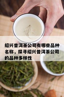 绍兴普洱茶公司有哪些品种名称，探寻绍兴普洱茶公司的品种多样性