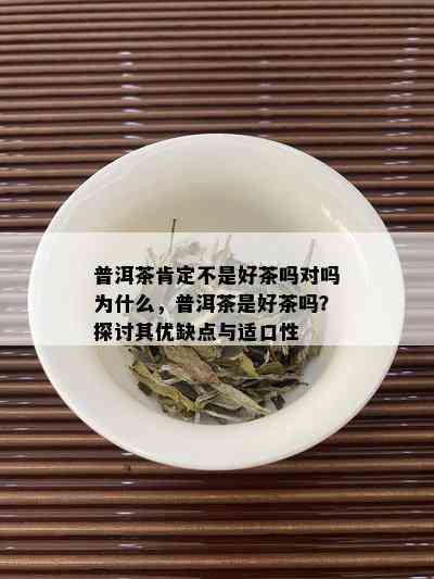 普洱茶肯定不是好茶吗对吗为什么，普洱茶是好茶吗？探讨其优缺点与适口性