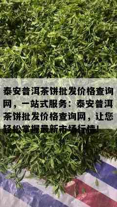 泰安普洱茶饼批发价格查询网，一站式服务：泰安普洱茶饼批发价格查询网，让您轻松掌握最新市场行情！