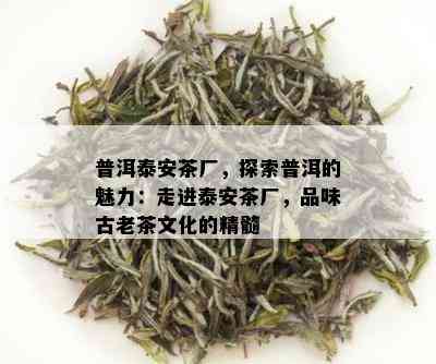 普洱泰安茶厂，探索普洱的魅力：走进泰安茶厂，品味古老茶文化的精髓