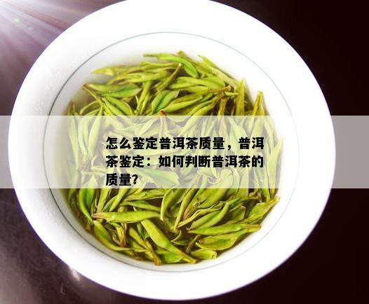 怎么鉴定普洱茶质量，普洱茶鉴定：如何判断普洱茶的质量？