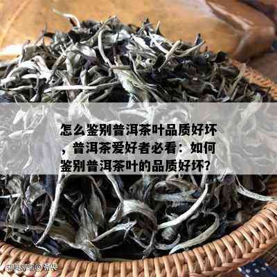 怎么鉴别普洱茶叶品质好坏，普洱茶爱好者必看：如何鉴别普洱茶叶的品质好坏？