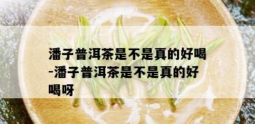 潘子普洱茶是不是真的好喝-潘子普洱茶是不是真的好喝呀