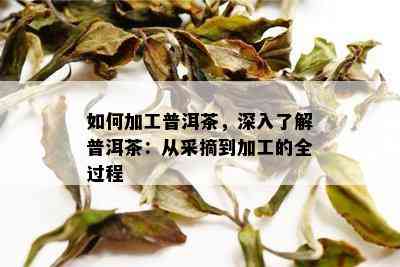 如何加工普洱茶，深入了解普洱茶：从采摘到加工的全过程