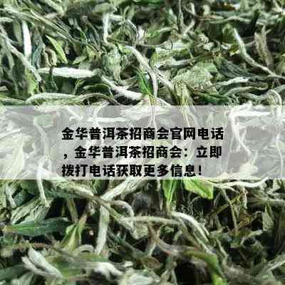 金华普洱茶招商会官网电话，金华普洱茶招商会：立即拨打电话获取更多信息！