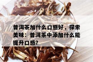 普洱茶加什么口感好，探索美味：普洱茶中添加什么能提升口感？