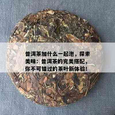 普洱茶加什么一起泡，探索美味：普洱茶的完美搭配，你不可错过的茶叶新体验！